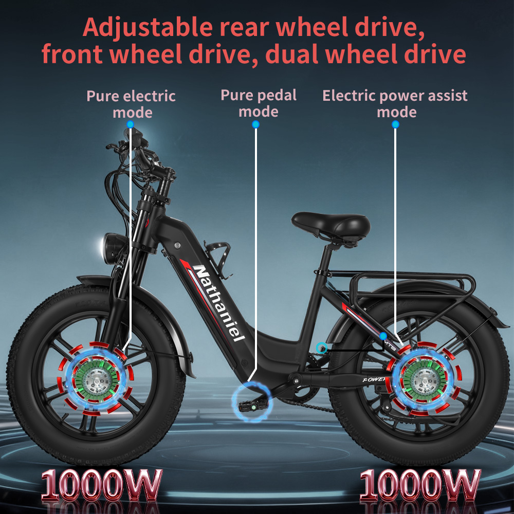 大人用電動自転車 ナサニエル SYR08 デュアルモーター  - Dual Motor Ebike Kit 2000W のレビューと価格